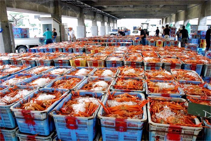 Abashiri Seafood Market